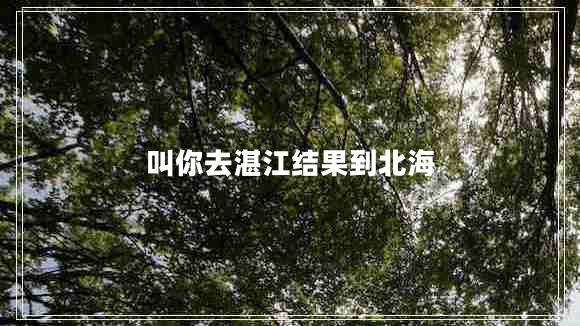 叫你去湛江結果到北海