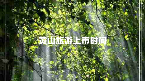 黃山旅游上市時間