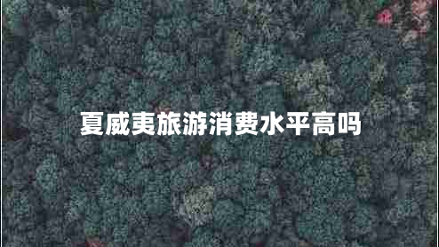 夏威夷旅游消費(fèi)水平高嗎