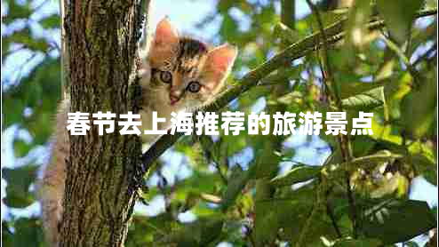 春節去上海推薦的旅游景點(diǎn)