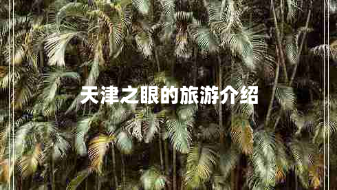 天津之眼的旅游介紹