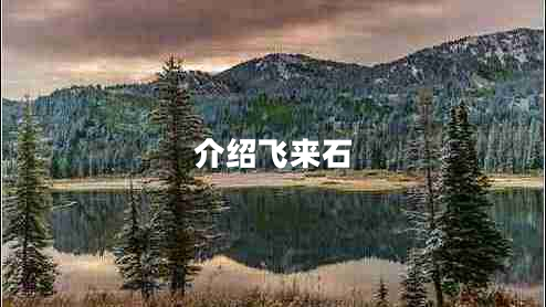 介紹飛來(lái)石