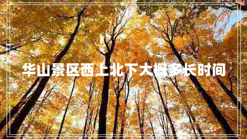 華山景區(qū)西上北下大概多長時間