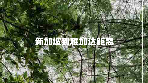 新加坡到雅加達距離
