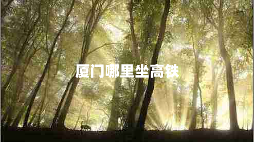 廈門(mén)哪里坐高鐵