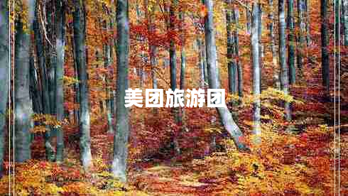 美團旅游團