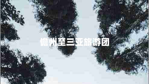 儋州至三亞旅游團