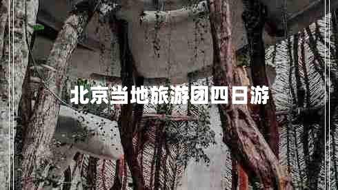 北京當地旅游團四日游