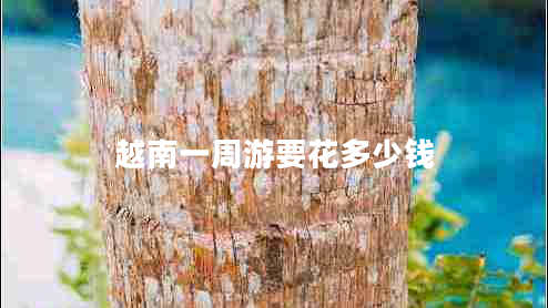 越南一周游要花多少錢