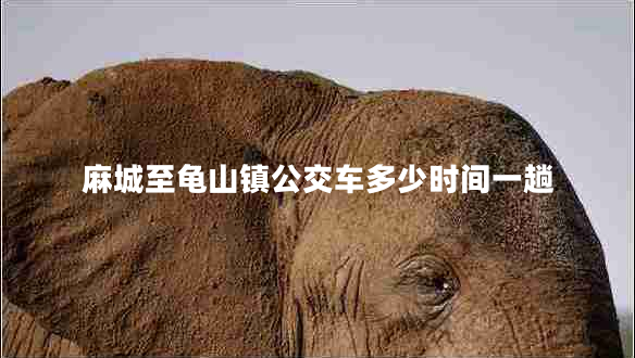 麻城至龜山鎮(zhèn)公交車(chē)多少時(shí)間一趟