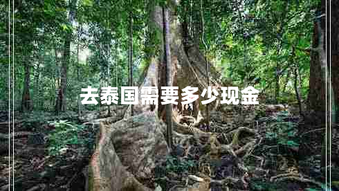 去泰國(guó)需要多少現(xiàn)金