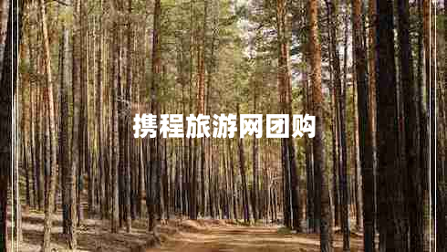 攜程旅游網(wǎng)團(tuán)購(gòu)