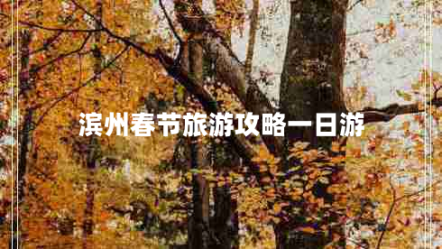 濱州春節(jié)旅游攻略一日游