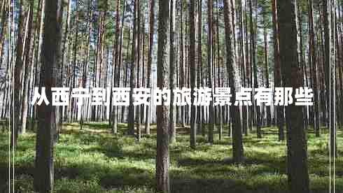 從西寧到西安的旅游景點有那些