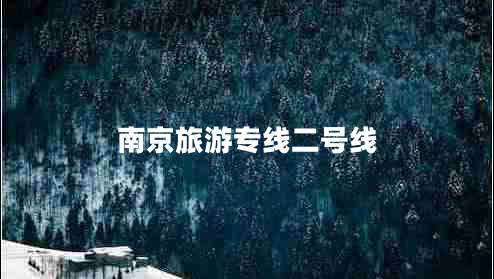 南京旅游專線二號(hào)線