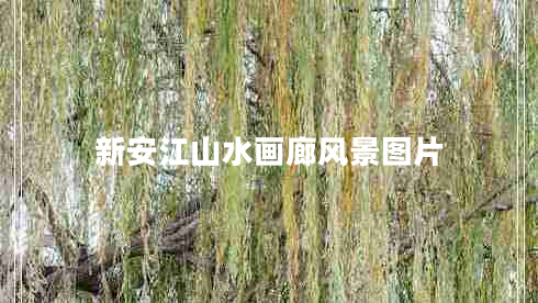 新安江山水畫廊風景圖片