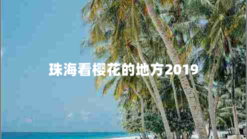 珠?？礄鸦ǖ牡胤?019