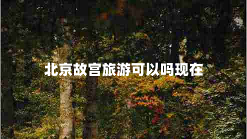 北京故宮旅游可以嗎現在