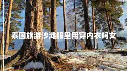 泰國旅游沙灘服里用穿內(nèi)衣嗎女