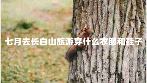 七月去長(zhǎng)白山旅游穿什么衣服和鞋子