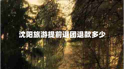 沈陽旅游提前退團(tuán)退款多少