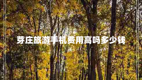 芽莊旅游手機(jī)費(fèi)用高嗎多少錢(qián)