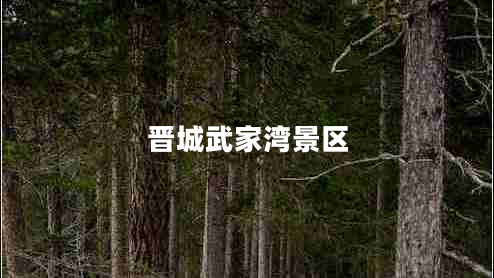 晉城武家灣景區