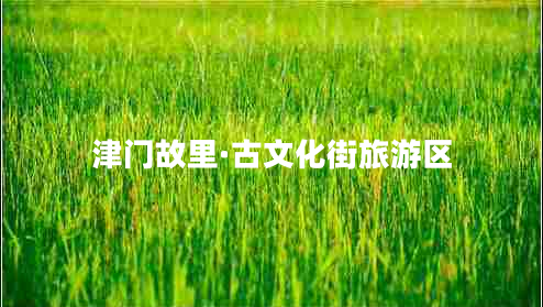 津門(mén)故里·古文化街旅游區