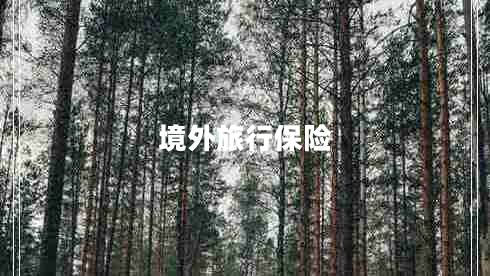 境外旅行保險(xiǎn)