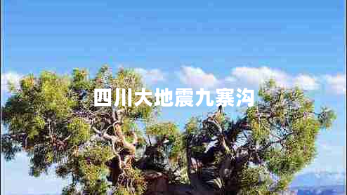 四川大地震九寨溝