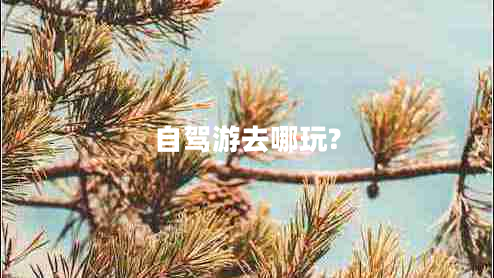 自駕游去哪玩?