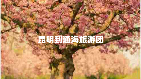昆明到通海旅游團