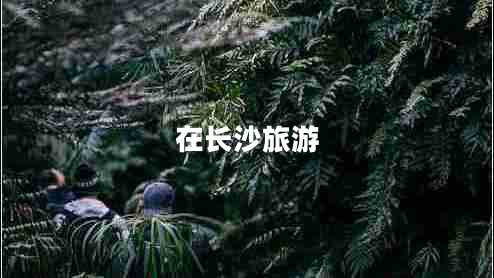 在長(zhǎng)沙旅游