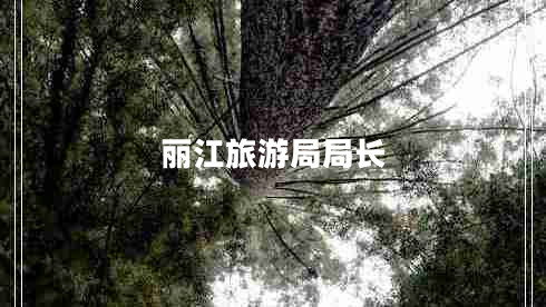 麗江旅游局局長(cháng)
