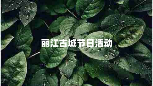 麗江古城節日活動(dòng)