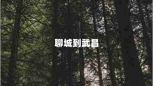 聊城到武昌