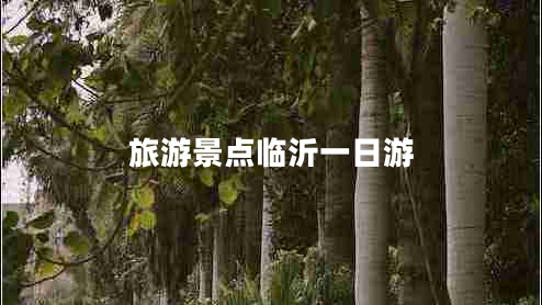 旅游景點臨沂一日游