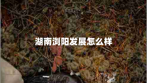 湖南瀏陽(yáng)發(fā)展怎么樣