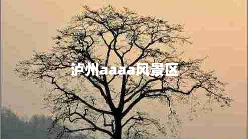 瀘州aaaa風景區(qū)