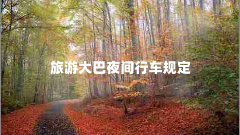 旅游大巴夜間行車(chē)規定