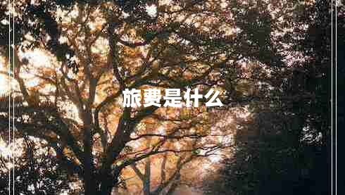 旅費是什么