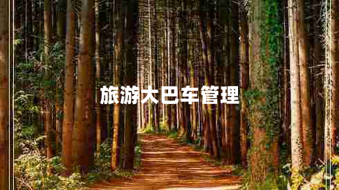 旅游大巴車管理 旅游大巴車管理