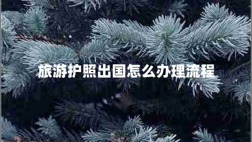 旅游護(hù)照出國怎么辦理流程