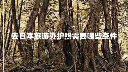去日本旅游辦護(hù)照需要哪些條件