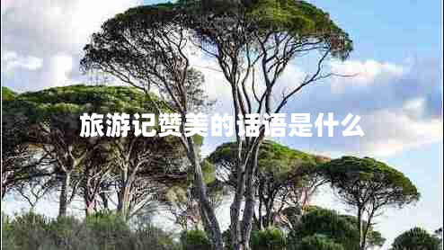 旅游記贊美的話語是什么
