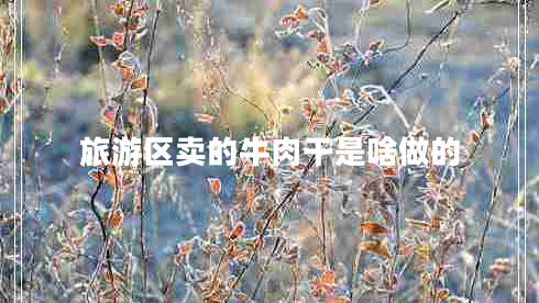旅游區(qū)賣的牛肉干是啥做的