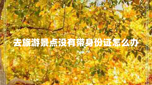 去旅游景點(diǎn)沒有帶身份證怎么辦