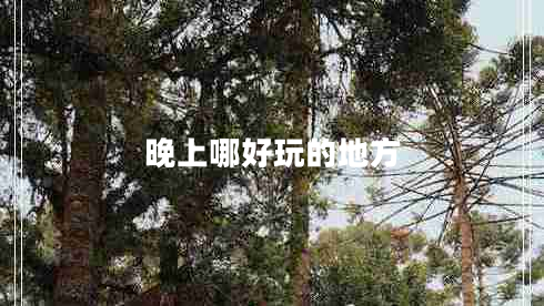 晚上哪好玩的地方