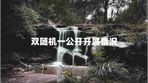 雙隨機(jī)一公開(kāi)開(kāi)展情況