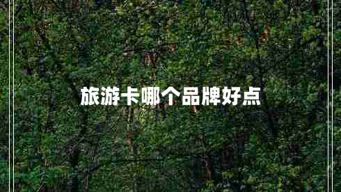 旅游卡哪個(gè)品牌好點(diǎn)